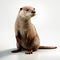 Ethereal Otter In 3ds Max: Minimal Retouching For A Smooth And Shiny Look