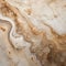 Ethereal Photograms: Detailed Marble Texture In White And Brown