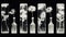 Ethereal Photograms: Five Flower Arrangement In Empty Bottles