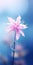 Ethereal Pink Flower Mobile Wallpaper For Best And Lg Un8500