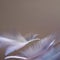 An ethereal scene of floating feathers in soft, pastel tones, creating a serene and dreamlike atmosphere1, Generative AI