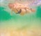 In an ethereal underwater scene, a pregnant woman gracefully floats, embodying the beauty of maternity beneath the