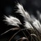 Ethereal Whispers: White Mountain Grass Against a Dark Backdrop. Generative Ai