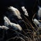 Ethereal Whispers: White Mountain Grass Against a Dark Backdrop. Generative Ai