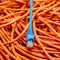 Ethernet cables tangled blue and orange