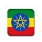 Ethiopia flag button icon isolated on white background