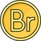 Ethiopian birr or Belarusian ruble coin icon