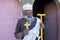 Ethiopian man in traditional clothes holding a stick and hand cross in his hand