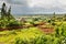 Ethiopian rural landscape