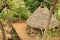 Ethiopian village in Omo valley