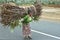 Ethiopian woman walks to lug big