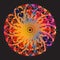 Ethnic floral colorful tribal circle mandala. Abstract geometry circle.
