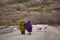 Ethnic moroccan women carrying the grass on the road