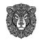 Ethnic ornamented lion. Hand drawn vector illustration with floral elements