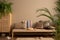 Ethno composition of living room interior with couch, patterned pillows, rattan sideboard, braided rug, fern, plants in flowerpots