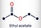 Ethyl acetate, ethyl ethanoate, C4H8O2 molecule. It is acetate ester formed between acetic acid and ethanol. Skeletal chemical