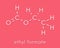 Ethyl formate ethyl methanoate molecule. Skeletal formula.