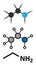 Ethylamine organic base molecule