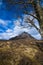 The Etive Shepherd: The beautiful pyramidal peak of Buachaille Etive Mor in the Highlands of Scotland