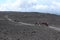 Etna - Gruppo di escursionisti verso il cratere Bocca Nuova