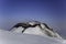 Etna Volcan-Summit crater in snowy landscape