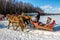 Etnomir, Russia - March 2019: Russian horses troika in winter, riding horses