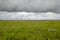 Etosha green landscape, flat horizon with storm clouds