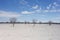 Etosha landscape