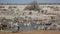 Etosha waterhole