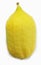 Etrog for the Jewish holiday, Sukkot