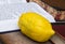 Etrog and Siddur book