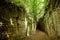 Etruscan Le Vie Cave Via Cava, the path connecting ancient necropolis and several settlements in the area between Sovana, Sorano