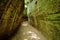 Etruscan Le Vie Cave Via Cava, the path connecting ancient necropolis and several settlements in the area between Sovana, Sorano