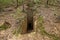 Etruscan tomb chamber in the Archaeological Park of Baratti and Populonia