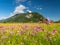 ettaler weidmoos in ammergauer alps, germany