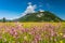 ettaler weidmoos in ammergauer alps, germany