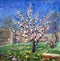 Etude, oil painting. Spring flowering apricot tree in the garden. Green grass, a fence of a blue sky, white and red flowers on a t