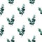 Eucalyptus baby blue branches background. Realistic greenery seamless pattern.