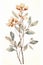 Eucalyptus branch with flowers. Watercolor illustration. Generative AI