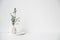 Eucalyptus branches in white ceramic vase on empty wall background