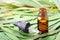 Eucalyptus essential oil in the amber bottle