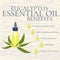 Eucalyptus essential oil benefits infographics