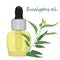 Eucalyptus essential oil vector illustration Aromatherapy