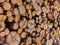 Eucalyptus firewood trunk tree piled up texture - pattern stacked fire wood