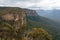 Eucalyptus forests in the Blue mountains, Katomba, Leura, Sydney