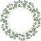 Eucalyptus Round Rustic wreath on the white background. Watercolor hand-drawn illustration.