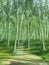 Eucalyptus Trees Garden Oil Painting, Hand Painted on Canvas