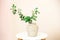 Eucalyptus twigs with fresh leaves in vases on the table. Flowers in a vase at home. Green twigs in straw vase on white wooden tab