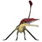 Eudimorphodon Pterosaur on White