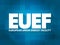 EUEF - European Union Energy Facility acronym, abbreviation concept background